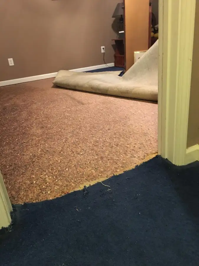 Carpet pad removal revealing water damage during Drying & Dehumidification in Winter Garden