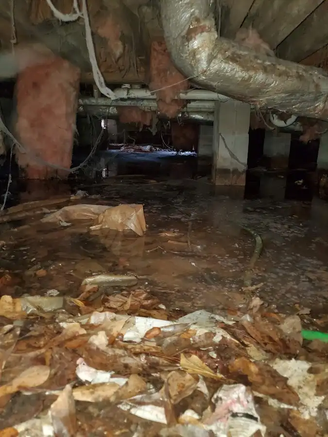 Crawl space flood assessment for Leak Detection & Repair in Winter Garden
