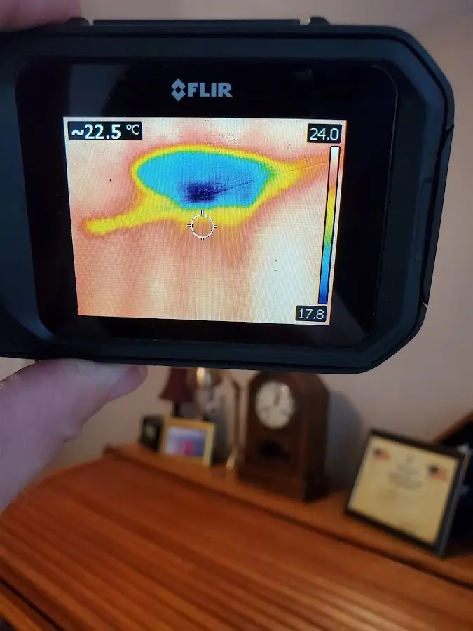 Thermal imaging inspection for water damage in Winter Garden