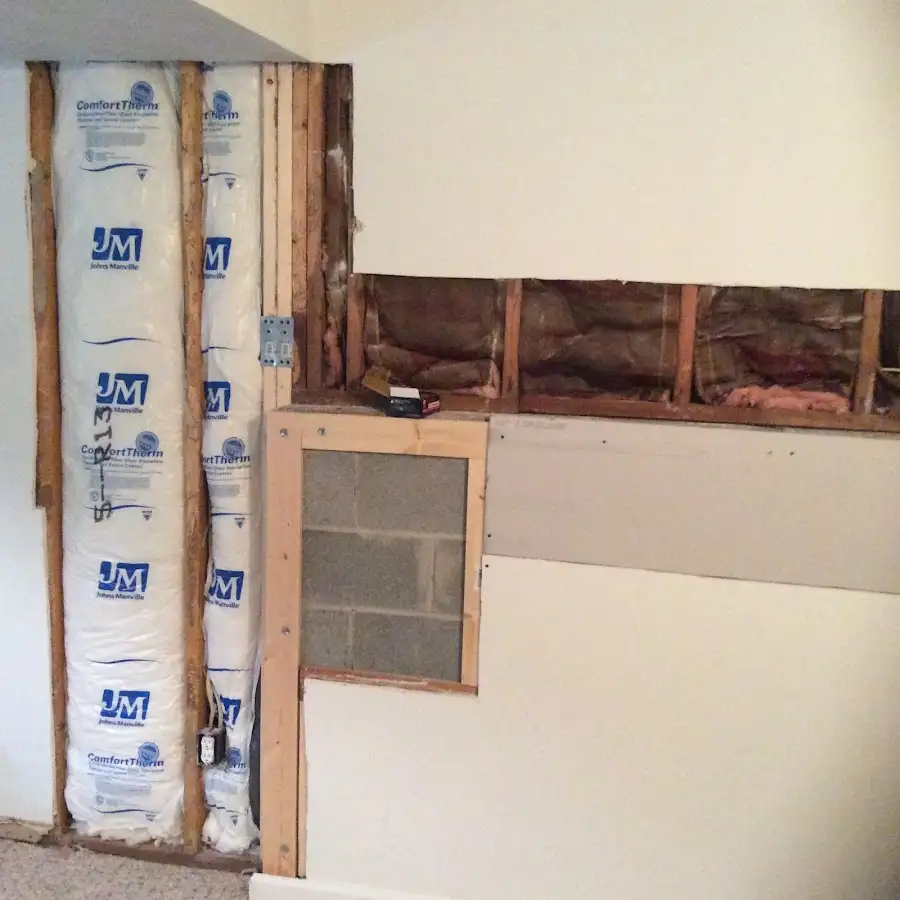 Wall insulation replacement during Odor Removal & Deodorization in Winter Garden